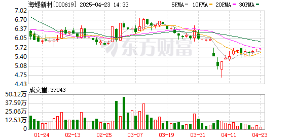 股票炒股配资开户 海螺新材：2024年度股东大会决议公告